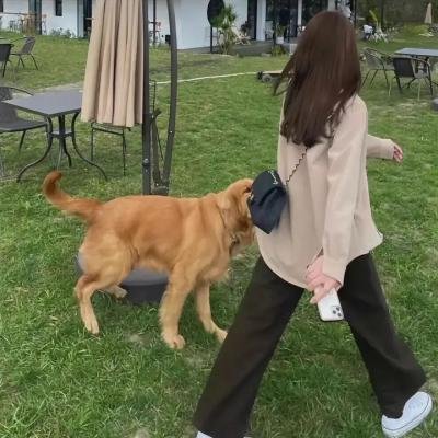 风尘莽汉